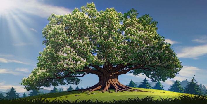 Organe_Stadt-Praxis_de